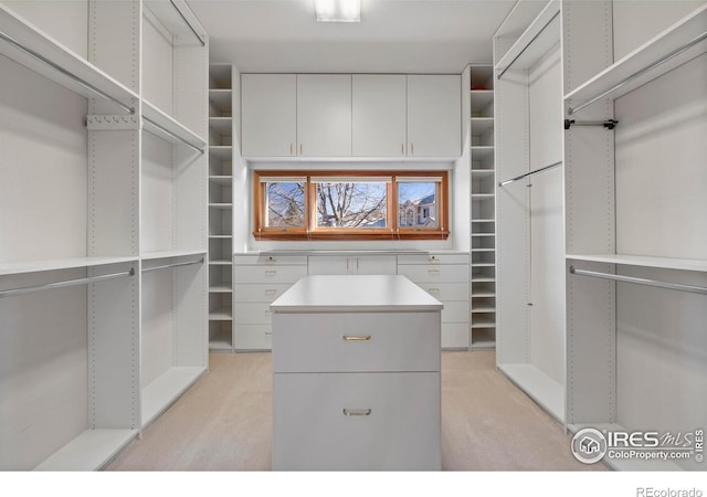 walk in closet with light colored carpet