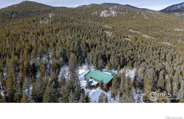 bird's eye view with a mountain view