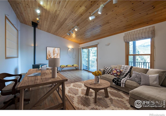 living room with hardwood / wood-style floors, a healthy amount of sunlight, rail lighting, and vaulted ceiling