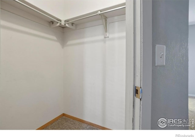 spacious closet with carpet flooring