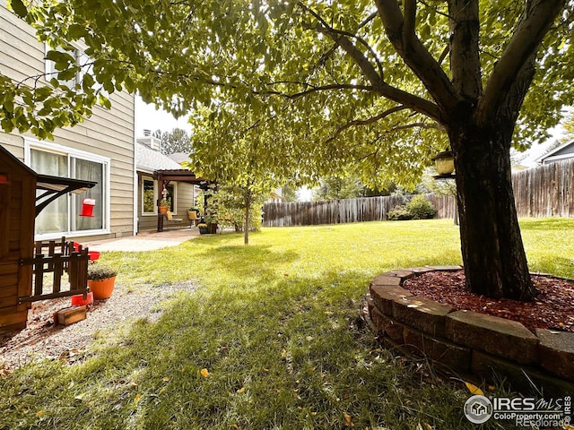 view of yard featuring a patio