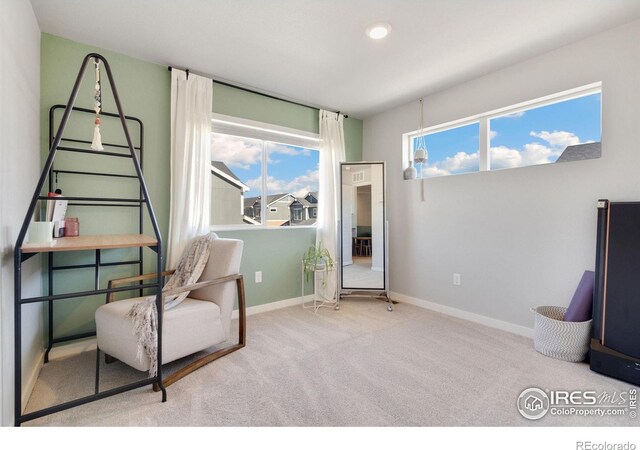 sitting room featuring light colored carpet