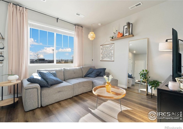 living room featuring hardwood / wood-style floors