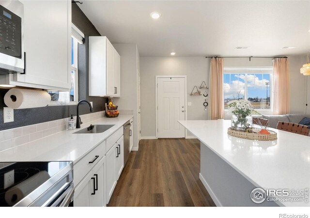 kitchen with stainless steel appliances, dark hardwood / wood-style floors, sink, and white cabinets