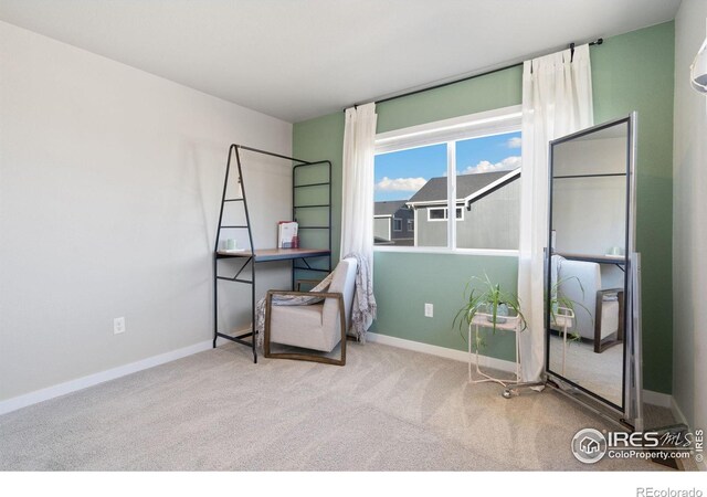 sitting room with light colored carpet