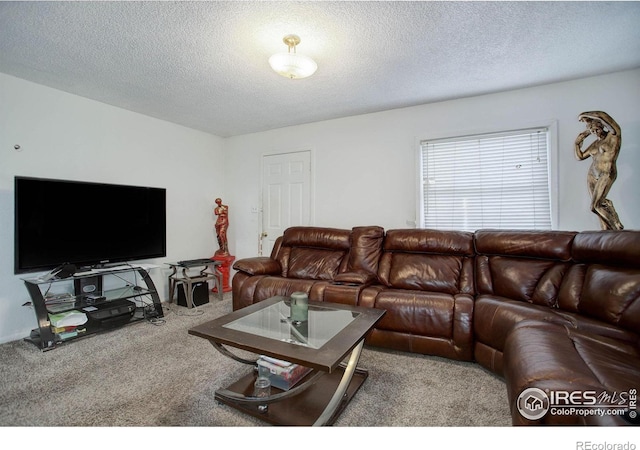 living room with carpet flooring and a textured ceiling