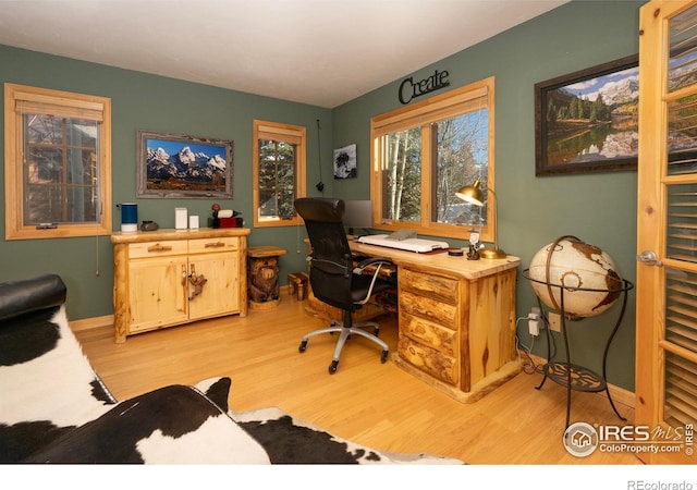 office featuring light hardwood / wood-style floors