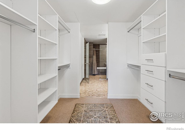 spacious closet with carpet