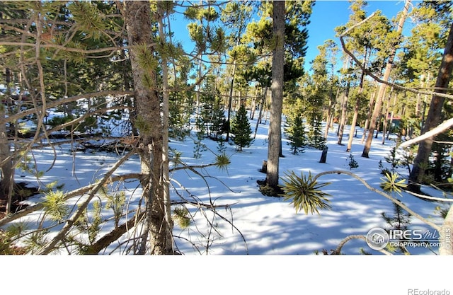 Listing photo 3 for 1482 Shoshoni Dr, Red Feather Lakes CO 80545