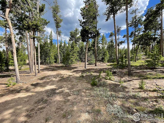 1482 Shoshoni Dr, Red Feather Lakes CO, 80545 land for sale