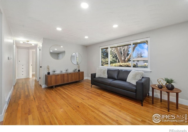 living room featuring wood-type flooring