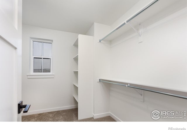 spacious closet with dark carpet