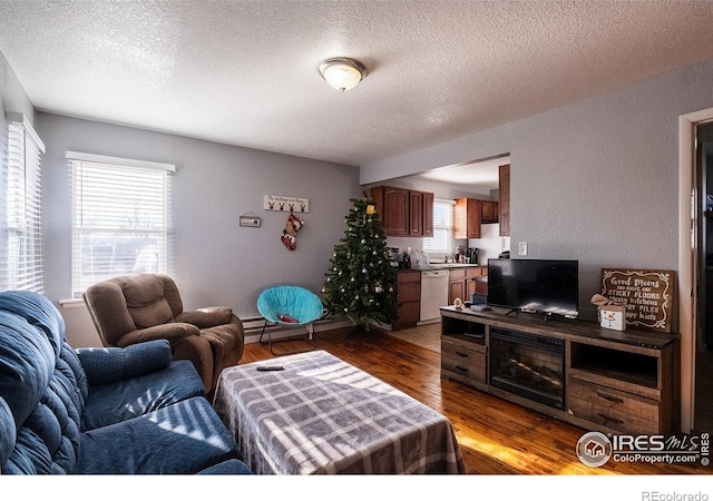 living room with a textured ceiling and dark hardwood / wood-style flooring