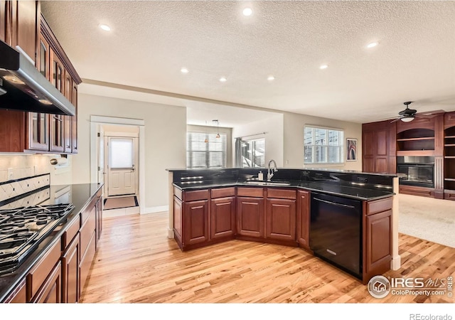 kitchen featuring ventilation hood, light wood-style flooring, a sink, black appliances, and a glass covered fireplace