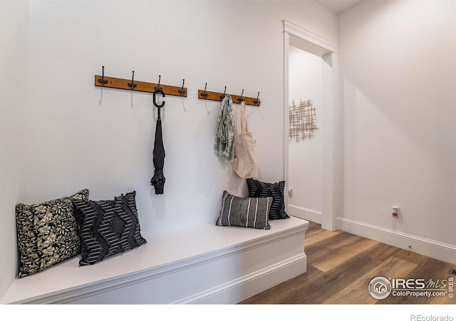 mudroom featuring wood-type flooring