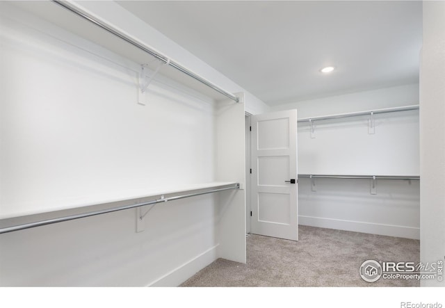 spacious closet featuring light colored carpet