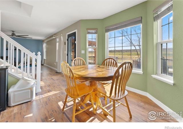 dining area with ceiling fan and light wood-type flooring