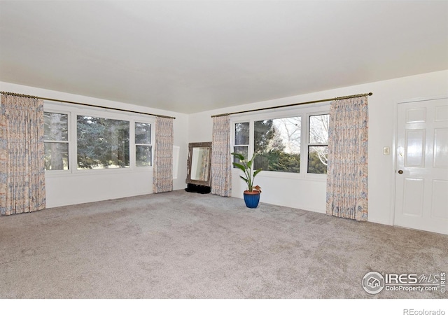 unfurnished living room with light colored carpet