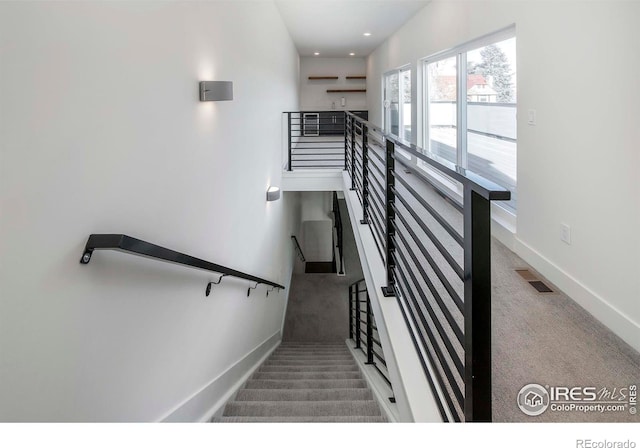 staircase featuring carpet floors