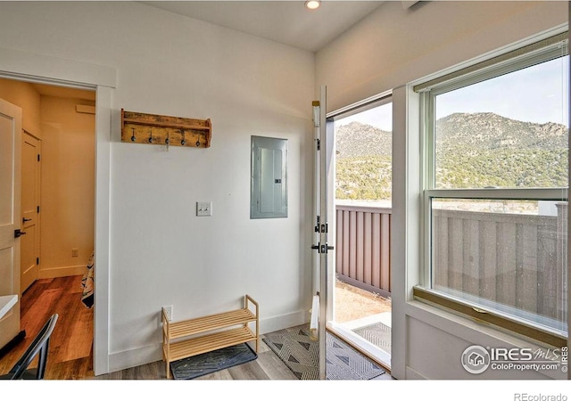 doorway with a mountain view, electric panel, and dark hardwood / wood-style floors