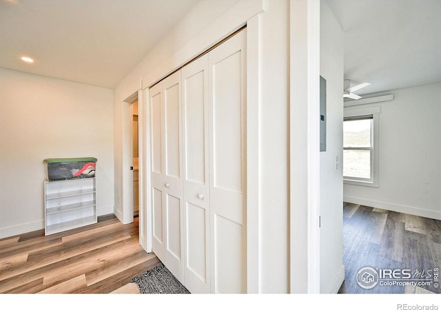 hall featuring hardwood / wood-style floors