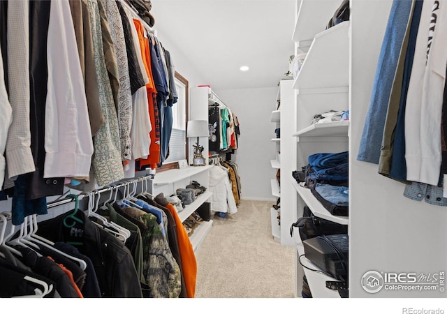 spacious closet with light carpet