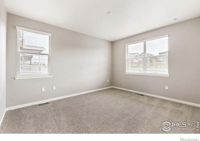 spare room featuring carpet flooring and a wealth of natural light