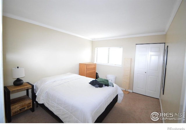 bedroom featuring carpet flooring and ornamental molding