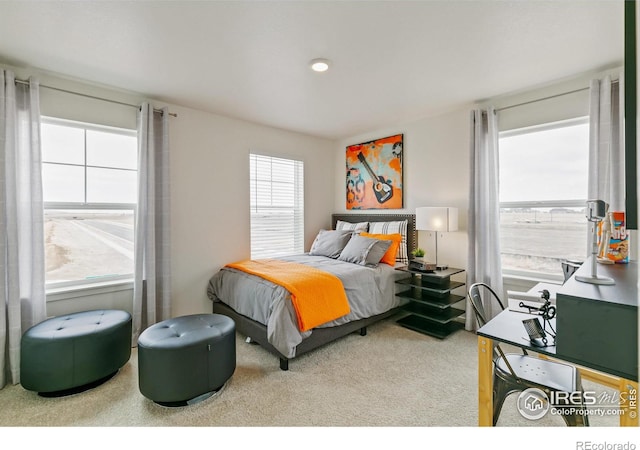 bedroom featuring carpet flooring and multiple windows