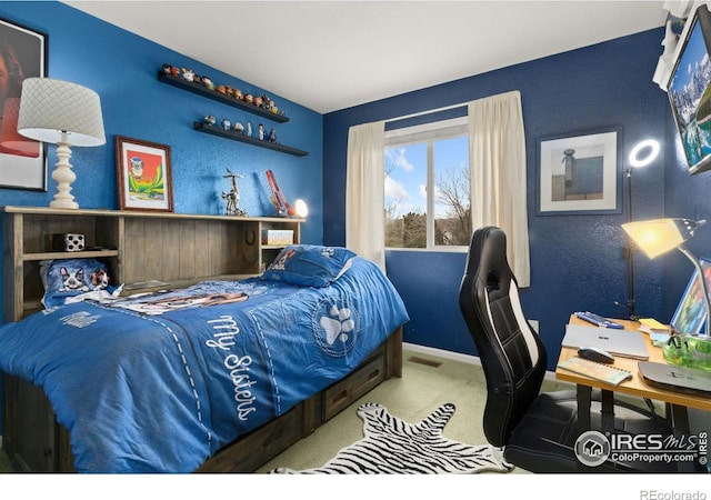 bedroom with carpet flooring