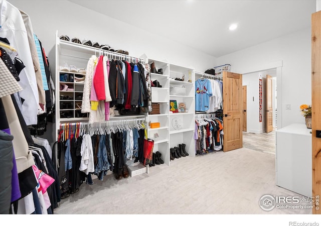 spacious closet featuring carpet floors