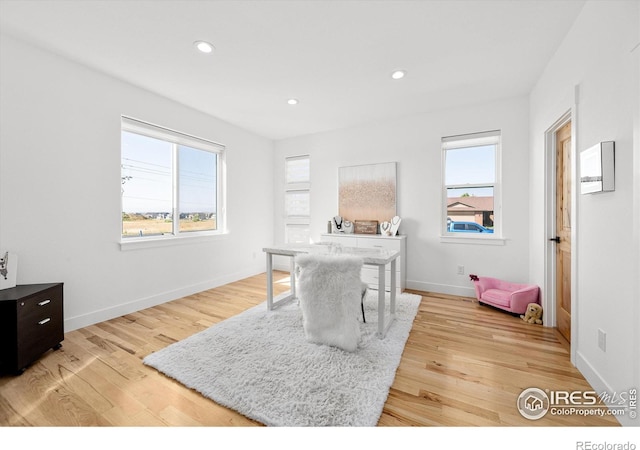 office space featuring a wealth of natural light and light hardwood / wood-style flooring