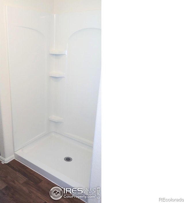 bathroom with walk in shower and hardwood / wood-style flooring