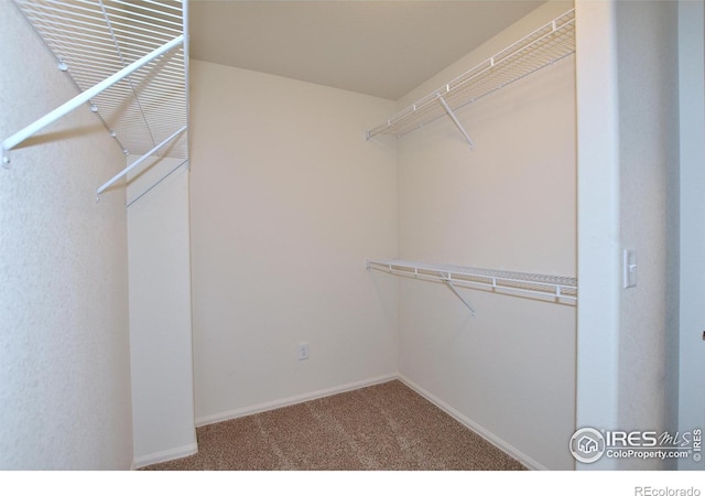 walk in closet with carpet