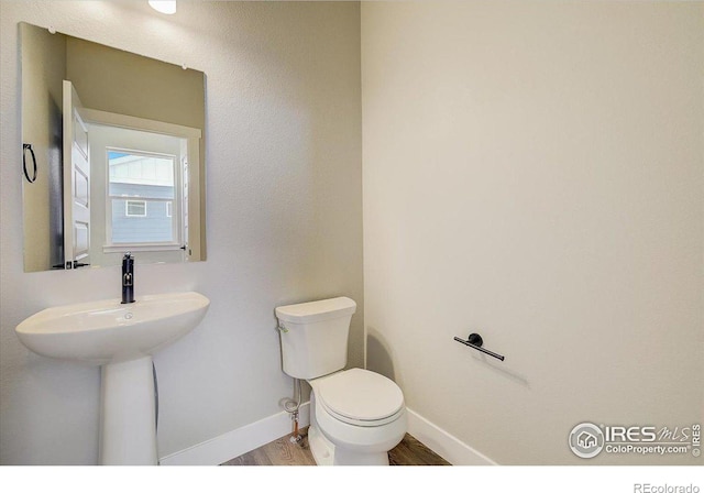 bathroom featuring hardwood / wood-style floors and toilet