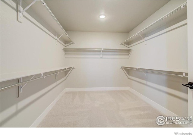 walk in closet with carpet flooring