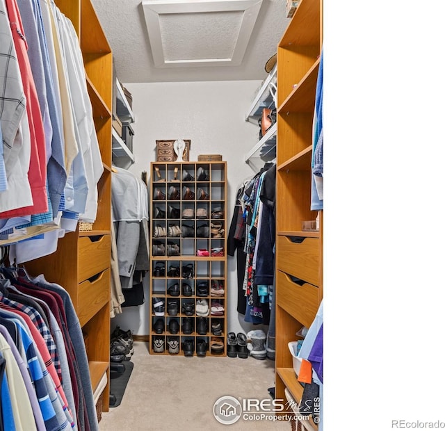 walk in closet with light colored carpet