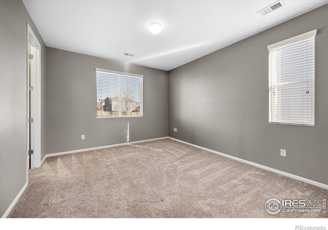1604 Sorenson Dr, Windsor, CO 80550 - photo 24