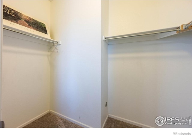 1604 Sorenson Dr, Windsor, CO 80550 - photo 29