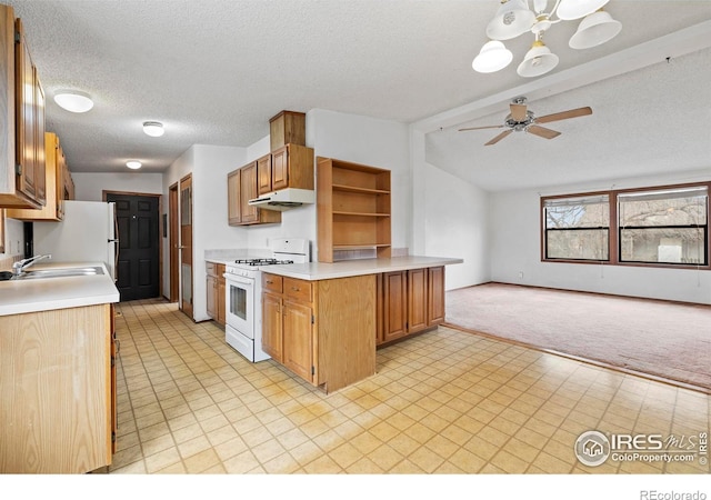 kitchen with light carpet, gas range gas stove, a textured ceiling, ceiling fan, and sink