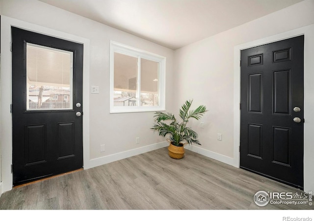 foyer with light hardwood / wood-style floors and a wealth of natural light