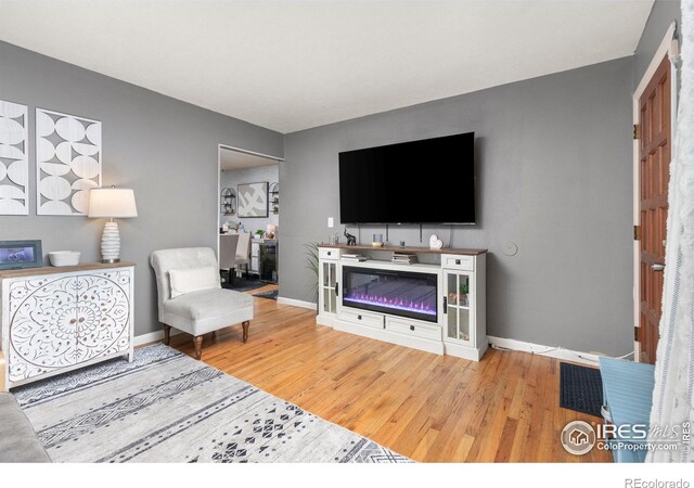 living room with wood-type flooring