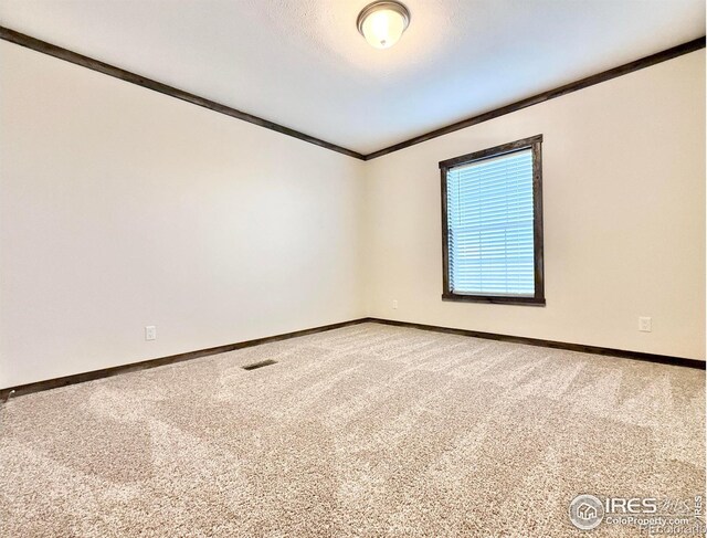 carpeted spare room with crown molding and a textured ceiling