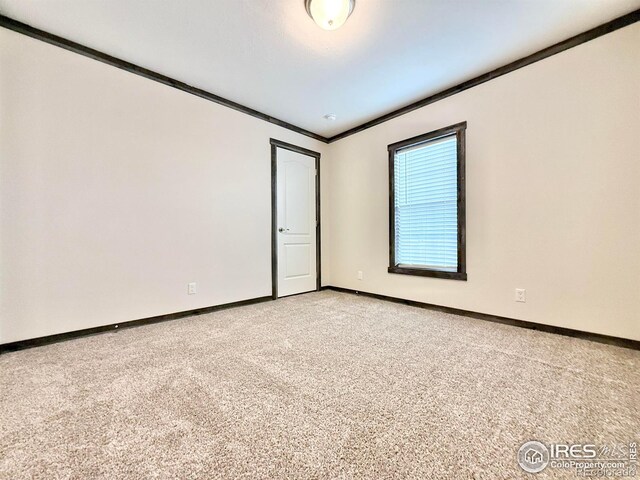 carpeted spare room featuring crown molding