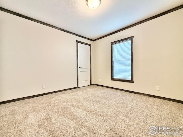 empty room featuring light carpet, a textured ceiling, and ornamental molding