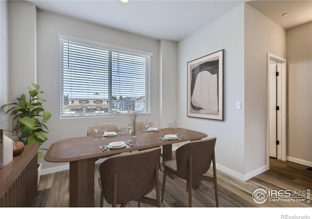 dining room with radiator and dark wood-type flooring