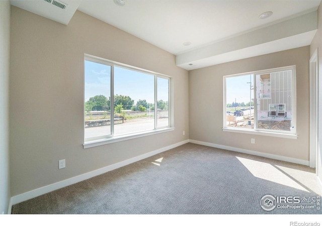 unfurnished room with carpet flooring