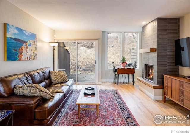 living room featuring a fireplace and light hardwood / wood-style flooring