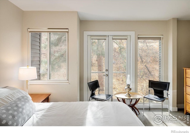 bedroom featuring carpet flooring, access to exterior, and multiple windows