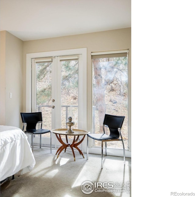 bedroom with french doors